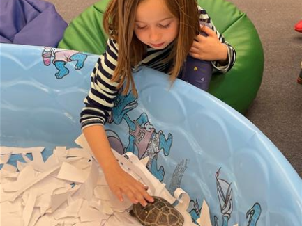 Students meet the library pet and learn about turtles. 